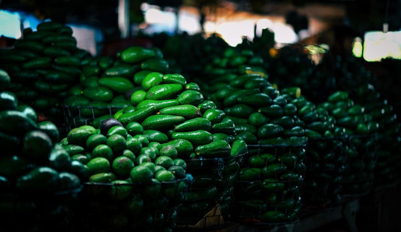 exportacion de aguacate en mexico