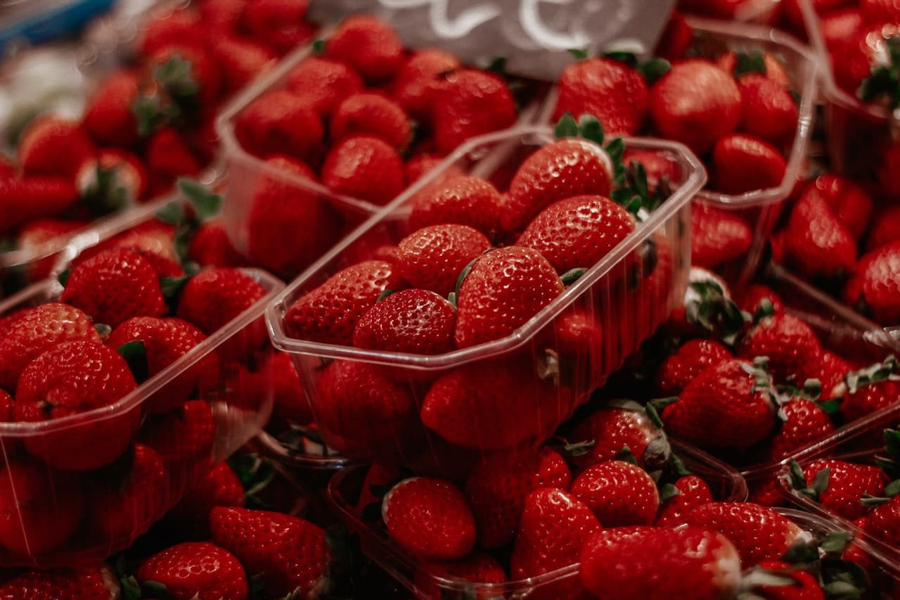 exportacion de berries en mexico