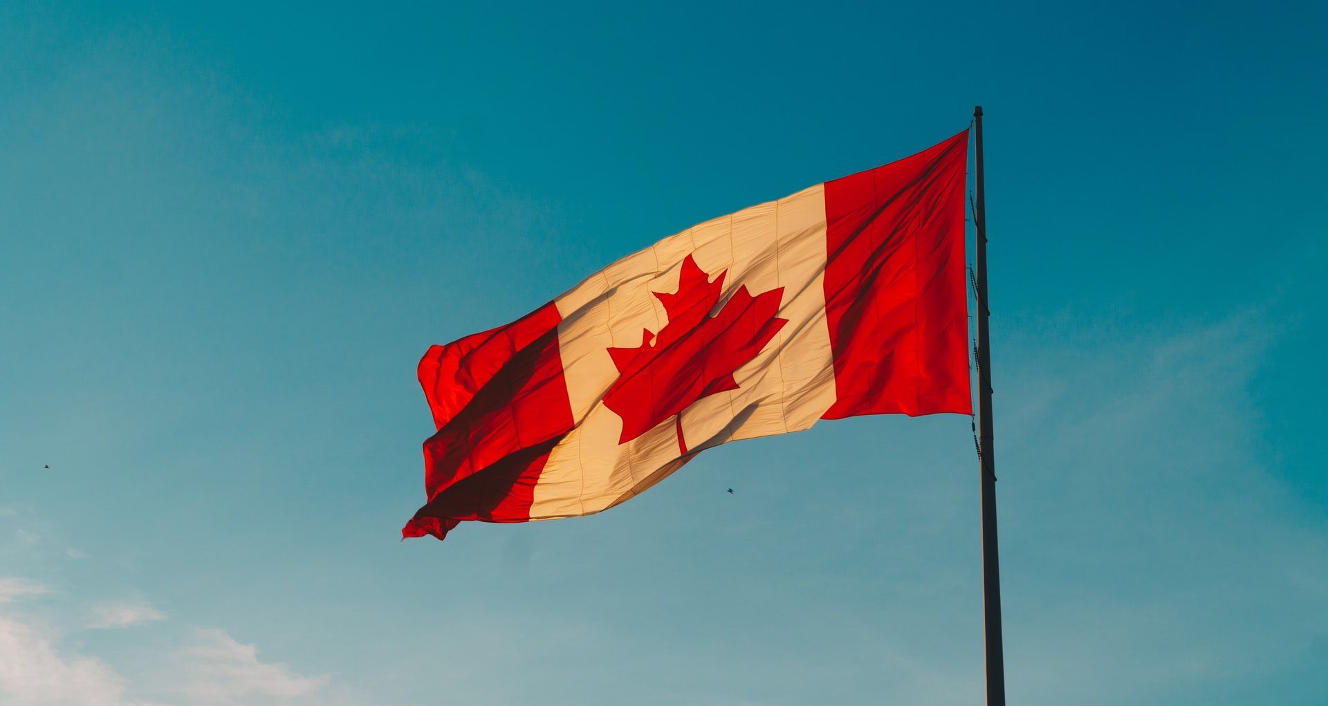 como exportar a canada