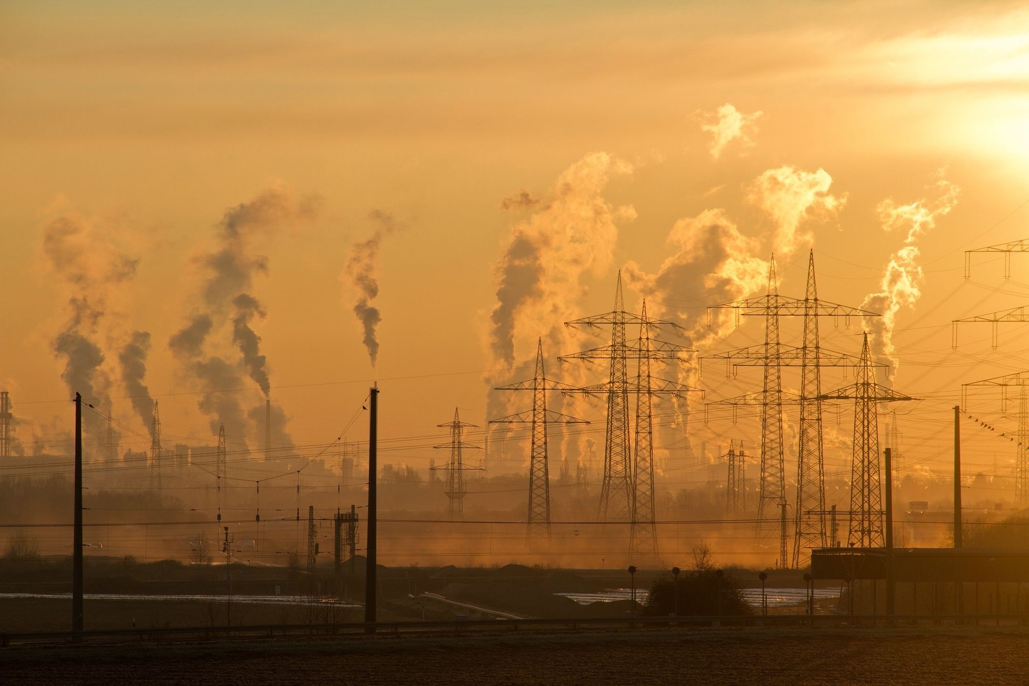 ¿Cuál es el impacto ambiental del comercio? Factores que debes conocer de primera mano